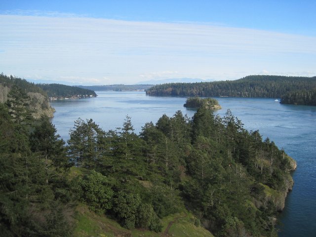A somewhat rocky coastline along water, with abundant coniferous forest.