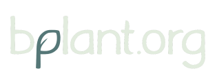 bplant logo