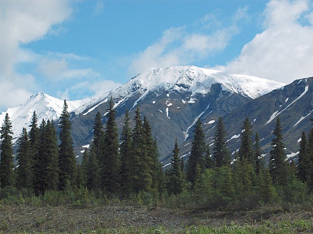 steep, rocky, snow capped mountains behind a landscape of narrow, dark-green conifers, a gravely meadow in the foreground