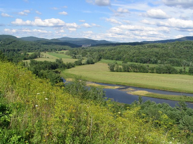 Looking down a hill to a river with fields parallelling the river, rows of trees and forested hills in the background