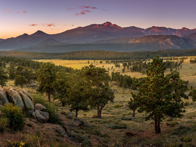 Grass and scattered trees in foreground with forest and then mountains in the background