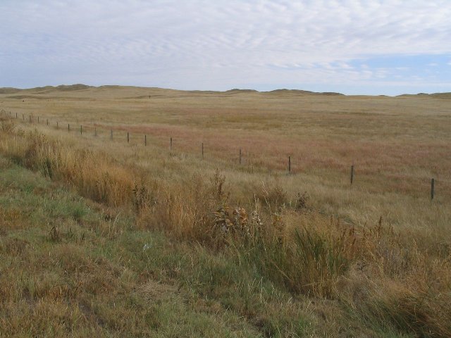 a landscape covered with uniform-looking dry grasslands, with a single fence visible, hills in the distance