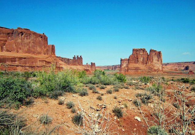 Sparse scrubland with low, dark green plants and reddish open soil between them, dark reddish tablelands in the background