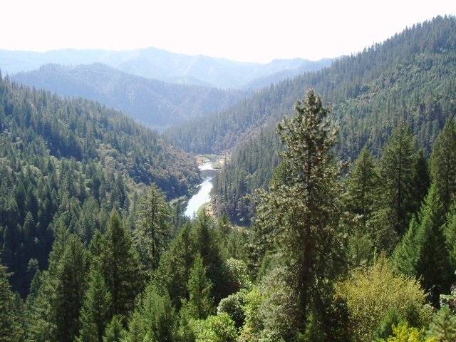 A relatively steep-walled valley in mountains, with a stream, the slopes covered in coniferous forest
