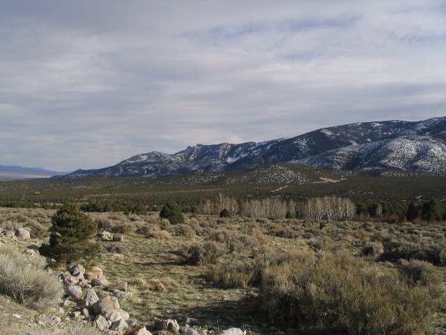 A flat, rocky area with scattered dead grass and low shrubs in the foreground, and a low mountain range in the background
