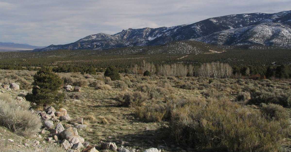 A flat, rocky area with scattered dead grass and low shrubs in the foreground, and a low mountain range in the background