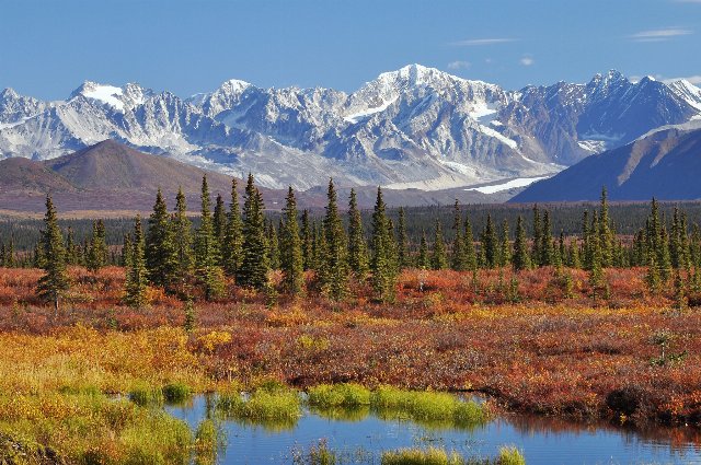 snowy, rocky mountains in the background, some small conifers in the foreground, and a pond with low vegetation around it