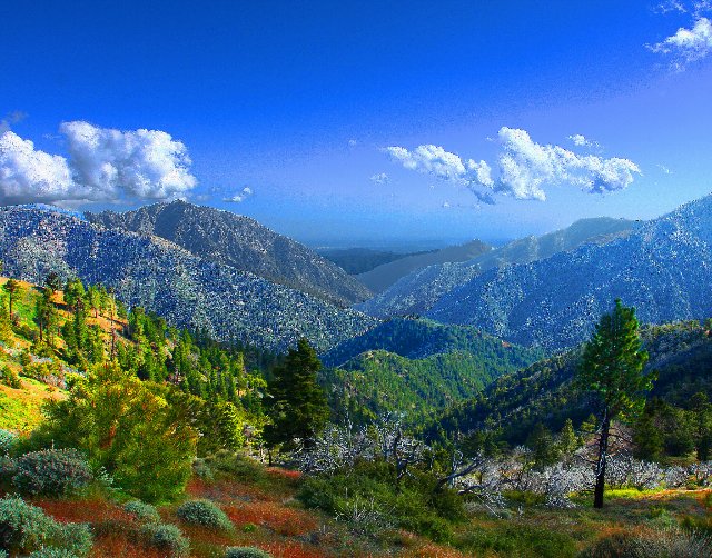 sparse conifers against a lush, colorful landscape with steep but low mountains in the distance under a bluy sky