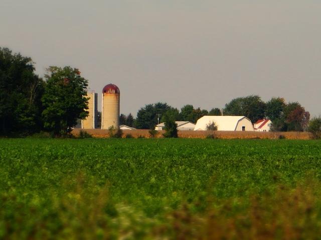 silo, barn, farmhouse, and trees, with cropland in foreground, completely flat terrain