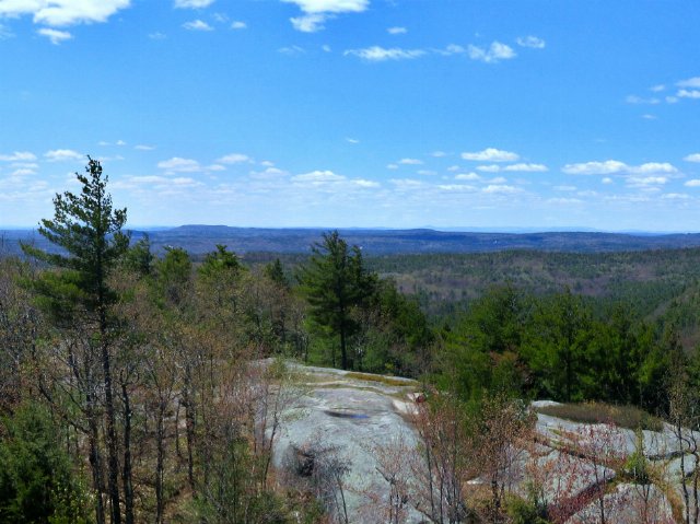 A rocky bald in the foreground with scattered, stunted evergreens, and lusher forest at lower elevations in the distance