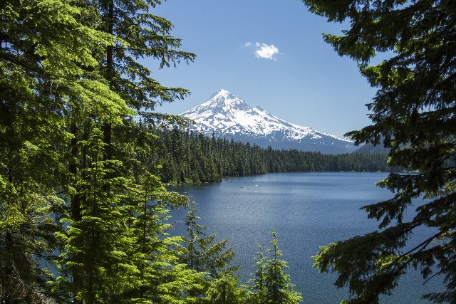 A lake surrounded by lush coniferous forest, with a snow-covered mountain in the background, under clear skies.