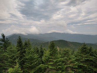 a dense forest of fir trees in the foreground, with misty forested mountains in the distance