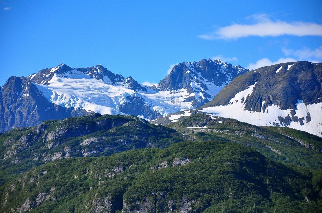 Rugged mountains with glaciers at the top, covered in forest lower down.