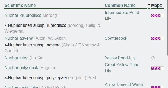 screenshot of Nuphar lutea search, returning species and 4 subspecies that have been reclassified into proper species