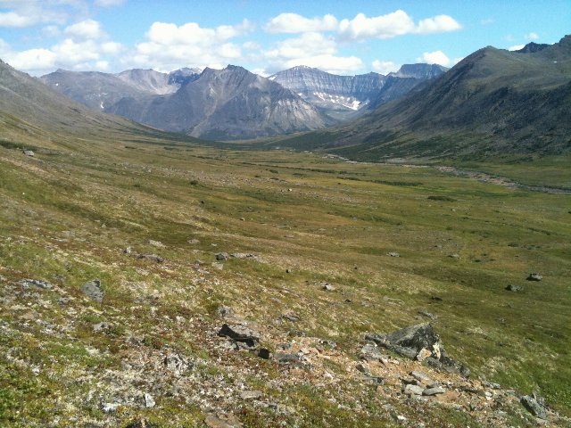 a landscape with scattered rocks and thin, green vegetation cover, steep-walled mountains in the distance