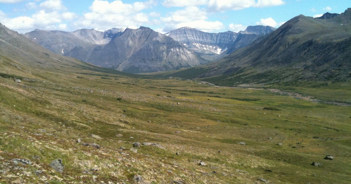 a landscape with scattered rocks and thin, green vegetation cover, steep-walled mountains in the distance