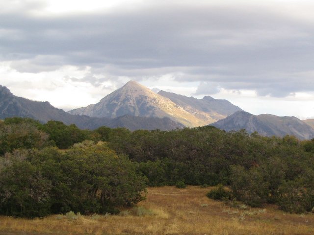Dry grassland in the foreground, lush green shrubbery behind, and a dramatic, steep mountain behind it