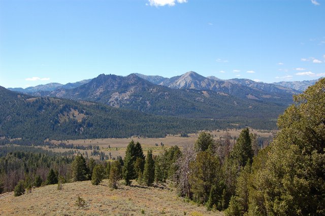Rugged mountains, mostly covered in coniferous forest, under a blue sky, with dry, open grasslands in a valley.