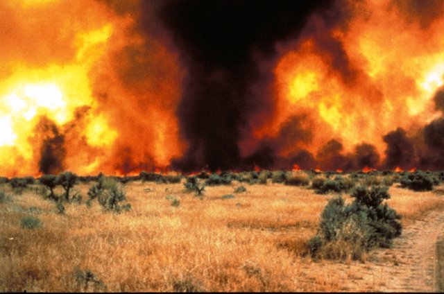 an intense wildfire burning a grassland with scattered shrubs, the sky covered with orange fire and black smoke