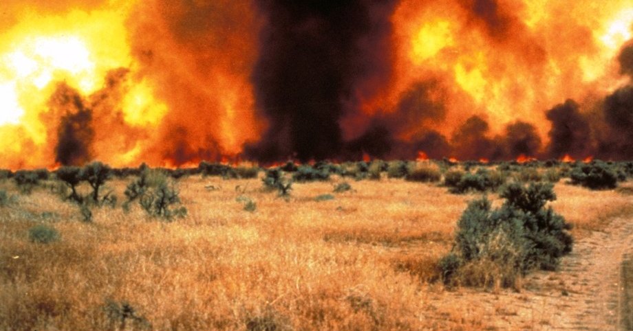 an intense wildfire burning a grassland with scattered shrubs, the sky covered with orange fire and black smoke