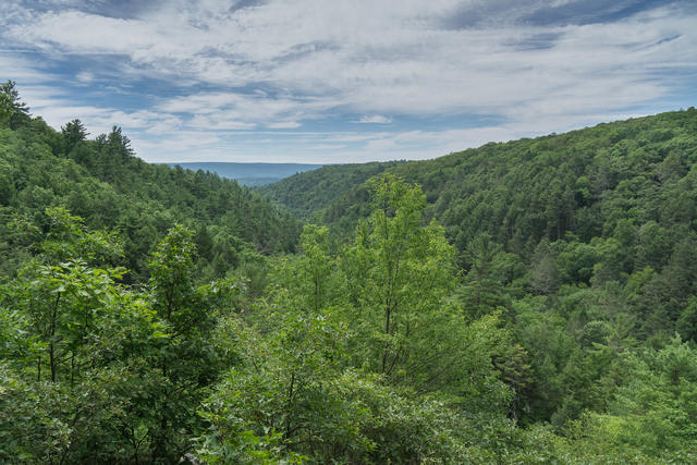 A valley with relatively steep slopes, covered in lush deciduous forest all around, under a partly cloudy sky