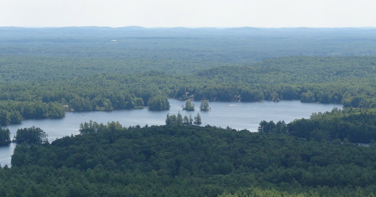 A forested landscape with a lake in the center, misty hills in the background.