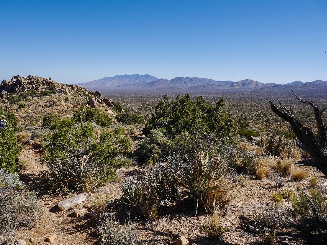 hilly desert in foreground with scrub, both live and dead, rock outcroppings, and plains and mountains in the distance