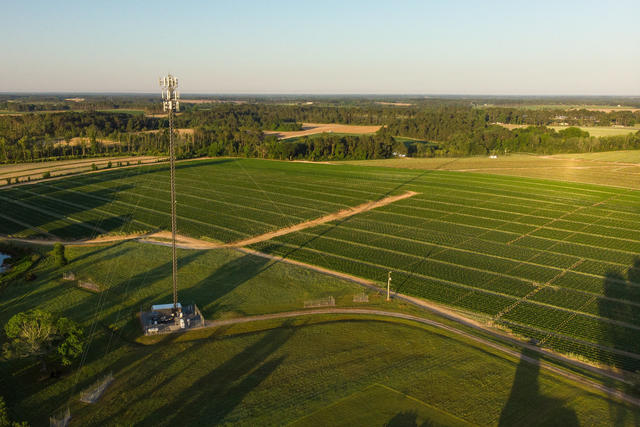 Cropland in foreground with a mosaic of forest and cropland in the distance, mostly flat but gently hilly terrain.