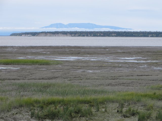 a flat landscape of sparse marshland and tidal mud flats, a body of water behind, forests and then mountains in the distance