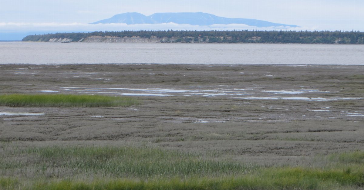 a flat landscape of sparse marshland and mud flats, a body of water behind, forests and then mountains in the distance