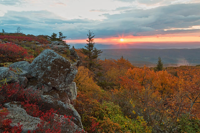 A sunrise in the mountains, a bedrock outcropping in foreground, scattered evergreens and orange-yellow deciduous trees