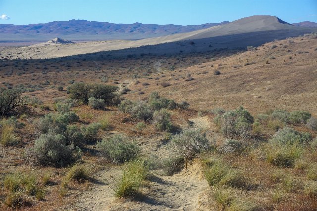 An arid landscape with some short grasses and small shrubs in the foreground and some dry hillsides in the distance
