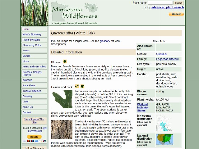 screenshot of a website with a lot of sections, tables, links, and some small pictures of tree leaves and bark
