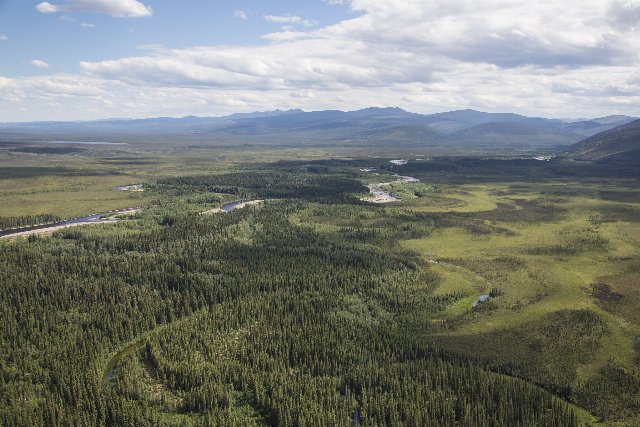 a small river flowing through a landscape of coniferous woods interspersed with open areas and small lakes