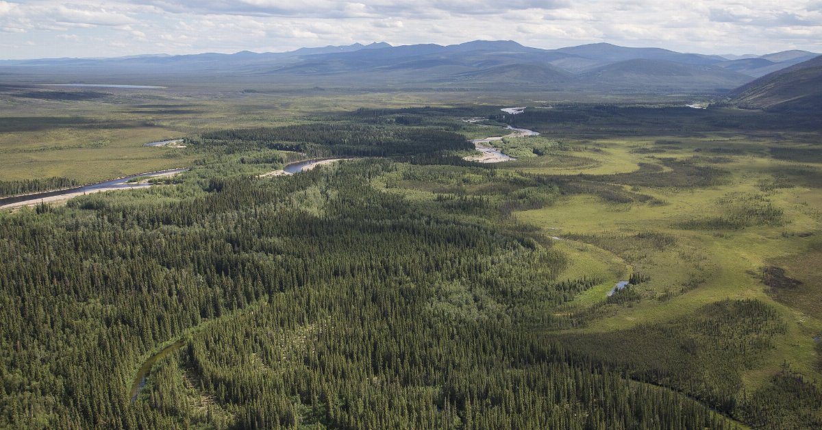 a small river flowing through a landscape of coniferous woods interspersed with open areas and small lakes