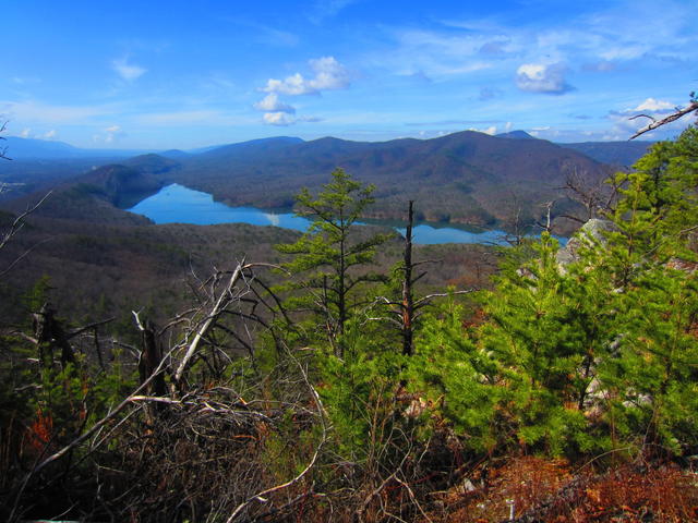 Pines in the foreground, and a dissected mountainous landscape in the background, surrounding a reservoir.