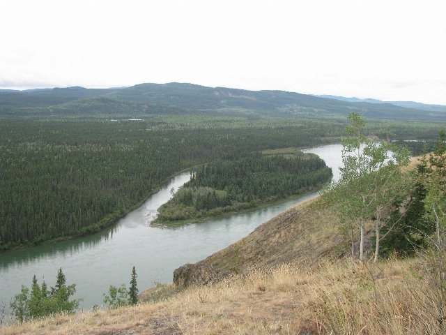 a river with an island, covered by thin, open coniferous forests, some forested mountains in the background