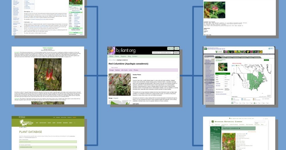 Interlinking Databases for Research bplant.org