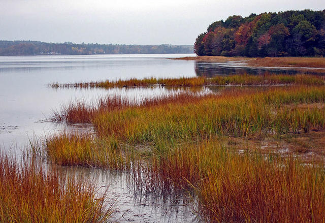 coastal plains topography