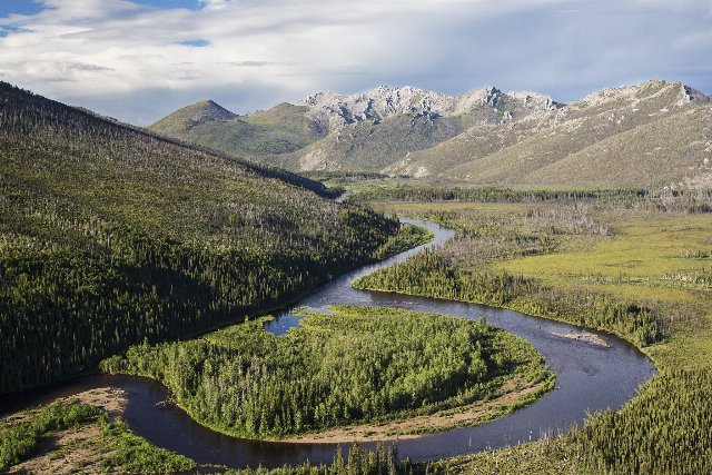 a meandering river in a flat area filled with a mix of forest and open tundra, surrounded by low mountains