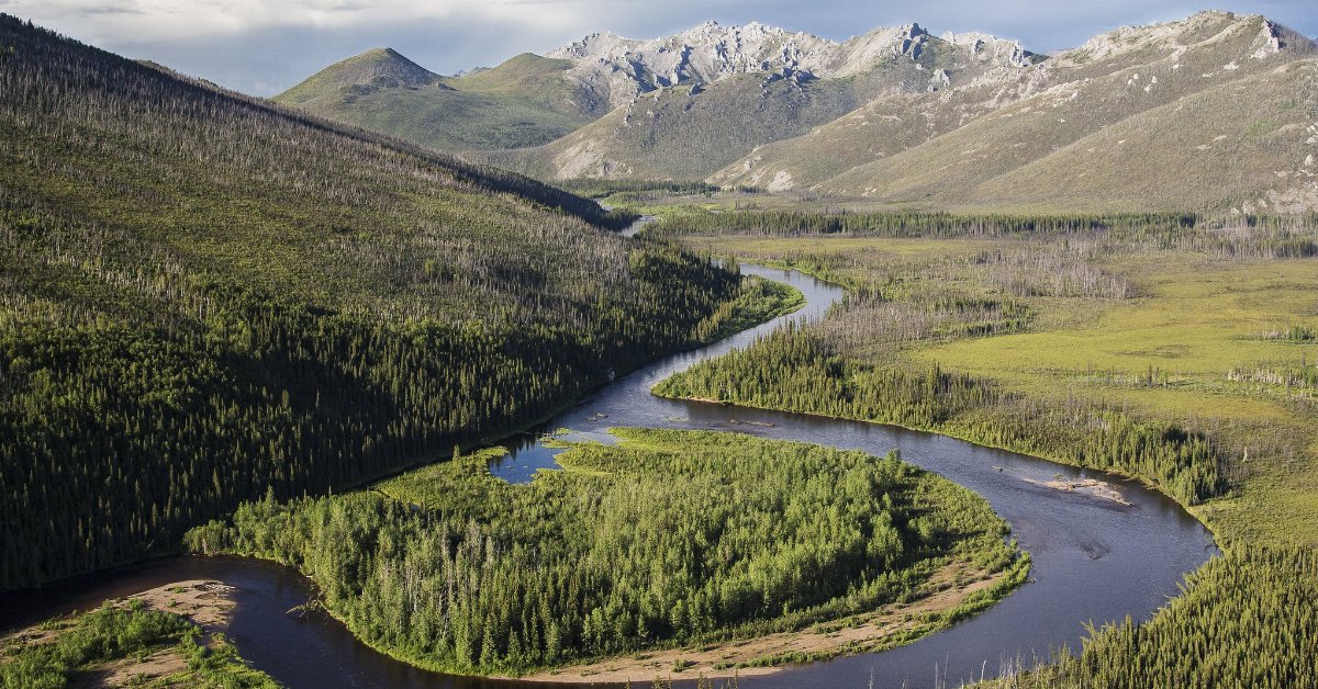 a meandering river in a flat area filled with a mix of forest and open tundra, surrounded by low mountains