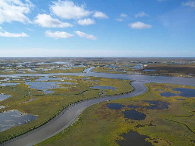 a flat yellow-green landscape with large branching bodies of water, slightly meandering, surrounded by numerous small ponds