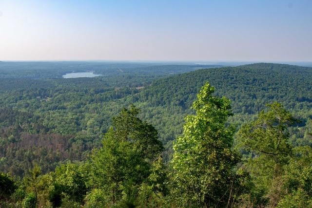 A few deciduous trees in the foreground, a forested landscape with low mountains, a flat areas, and a lake