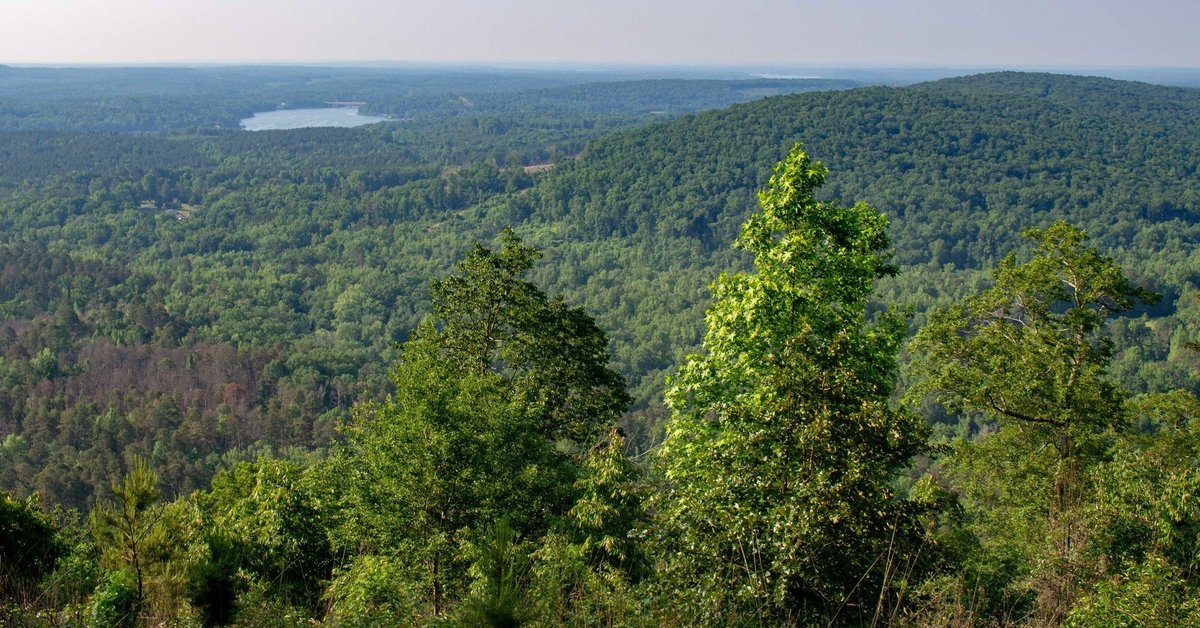 Carolina Slate Belt