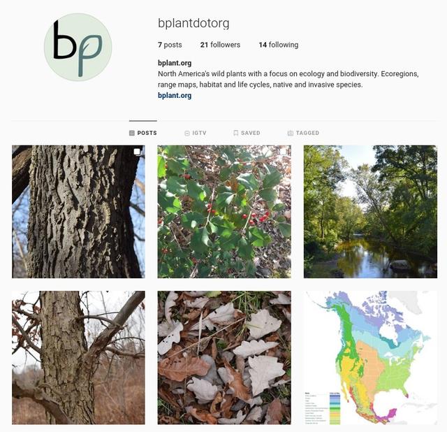 screenshot of bplant.org's Instagram feed