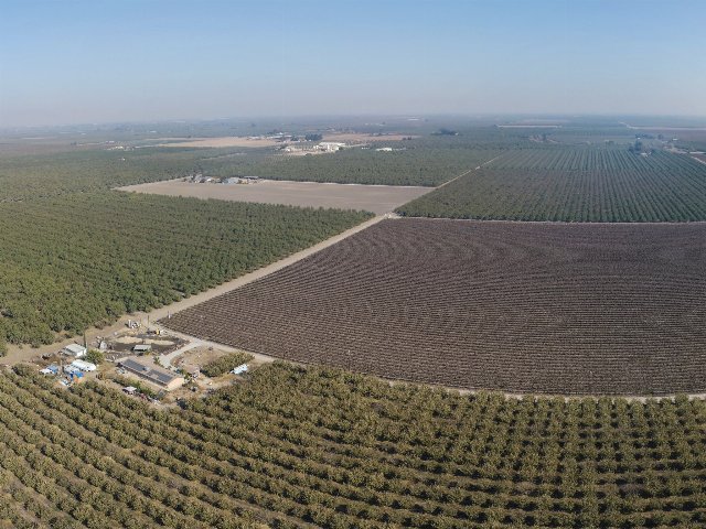 uniform rows of cropland under a gray sky, stretching as far as the eye can see, with scattered roads and buildings