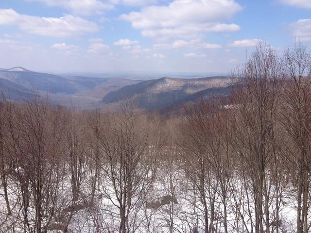 A deciduous forest in winter with bare trees and snow on the ground, mountains in the background