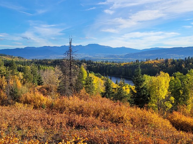 hills covered in conifers and broadleaf trees turning yellow, a small lake, and mountains in the distance under a blue sky