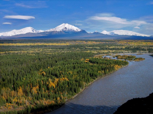 a river in the foreground, and a flat landscape with mostly evergreen trees, tall snowy mountains in the distance