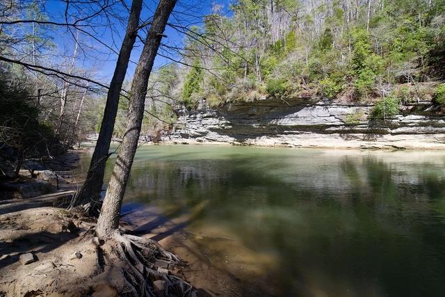 A wide stream with a steep cliff on the opposite bank, mixed forest with evergreens and deciduous trees above it.